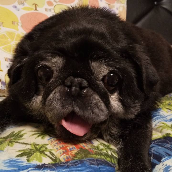 004367a9 eb9c 4051 afe7 38fd707338e6 1564318511982