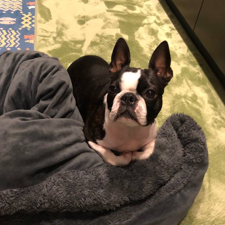 00436ba8 cf73 4512 9413 7c3d0214f034 1545998292687