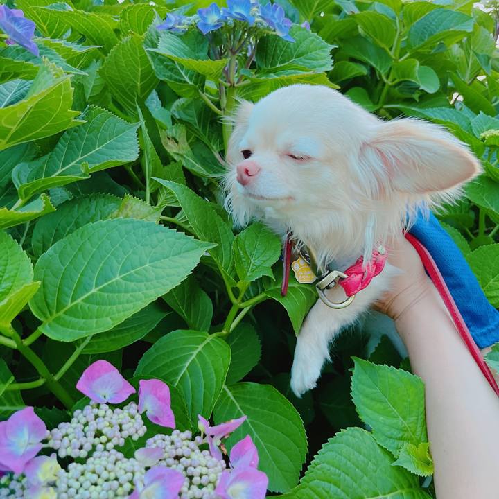 00437e1f 08d5 4b93 8d13 865cfbb20a89 1654250874451