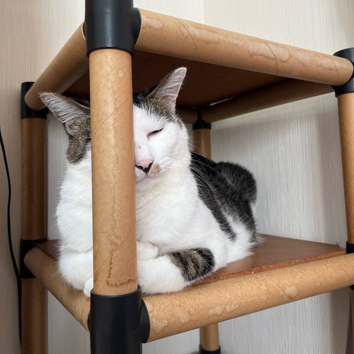 00438a39 6f4c 452c b5d0 a382d78660f2 1690501896526