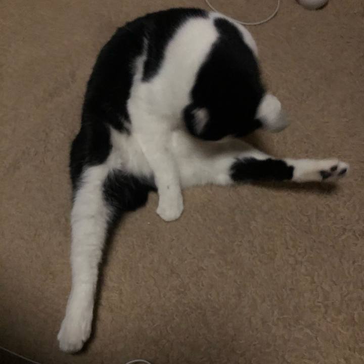 004398d8 ac6c 4eb7 8bc5 b6ef8359faff 1612619910928