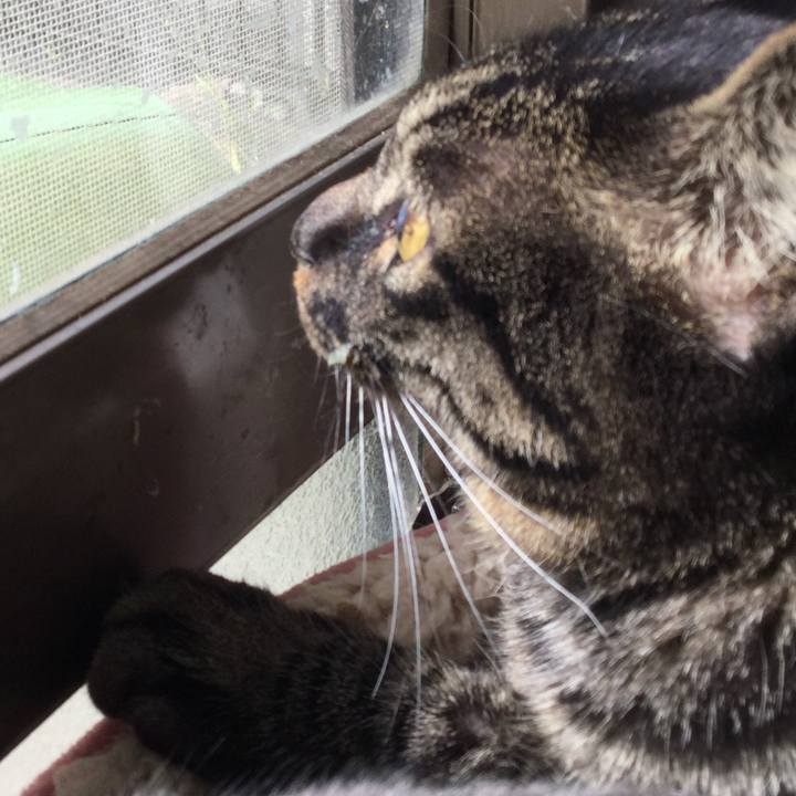 00439b50 948c 4e8a bf23 cc91ead3f686 1570680686968