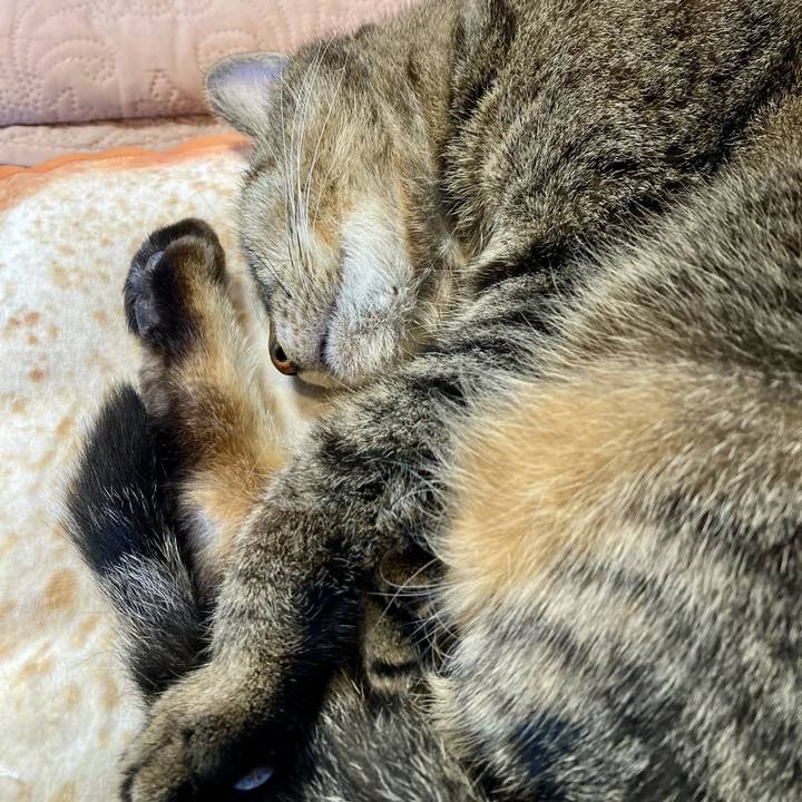 0043ca37 a2a9 4828 a46e dfc91879f0c2 1668066088944