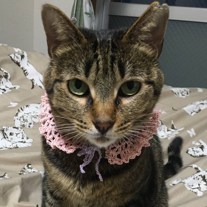 0043e0ec 76fc 4459 968f c21929dd12f1 1586079906532