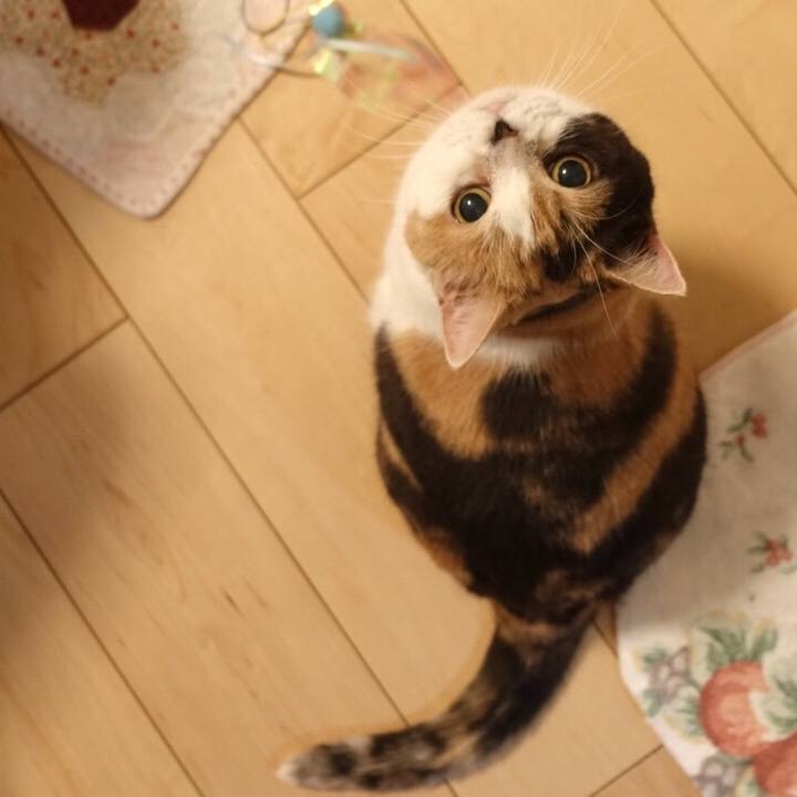 0043ecfc c103 4075 a2e6 978ee7ec7372 1534430508462