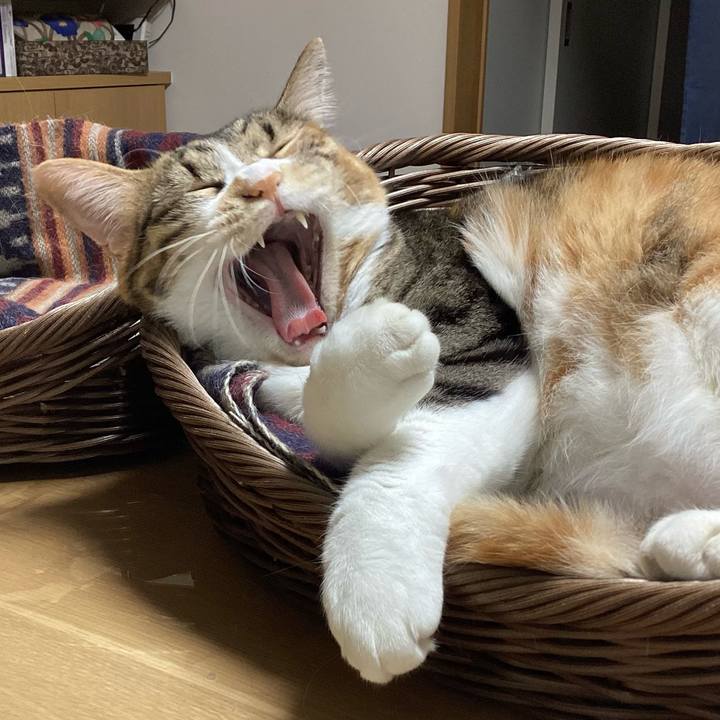 00440058 92f8 4f43 81e0 d873a871a3fa 1731886544003