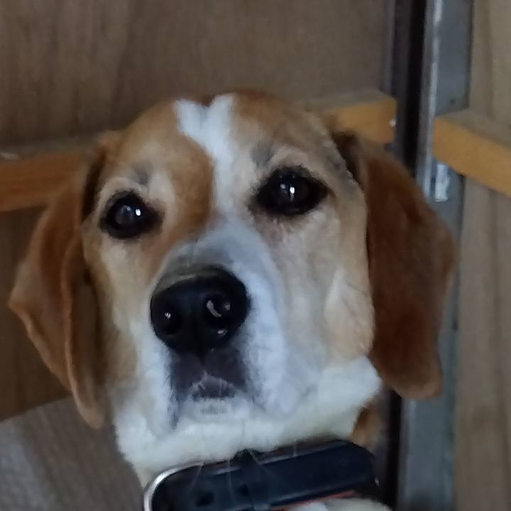 004407ff e592 4e7e ae78 8f4c21bb020b 1687595458047