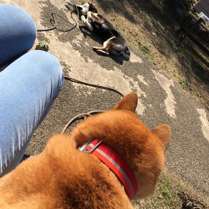 00441e85 0ebd 4ae9 96e8 d8feaa1f4e71 1522710299030