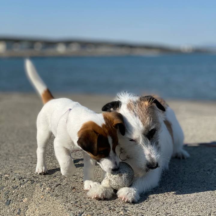 00443aaf 923d 4308 af43 3885397abe41 1619051762643