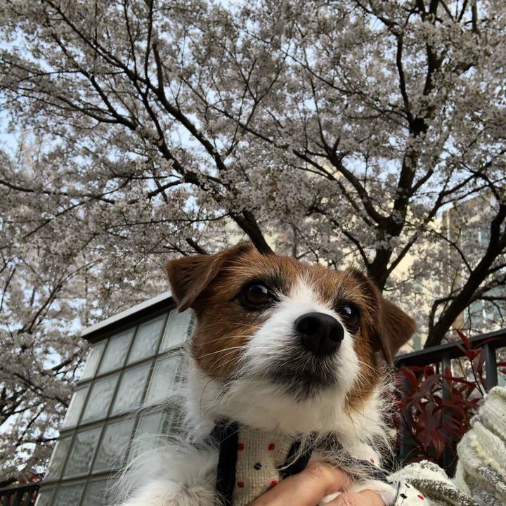 00443b72 af18 4cf4 9e94 5ea00a9e981a 1617530004529