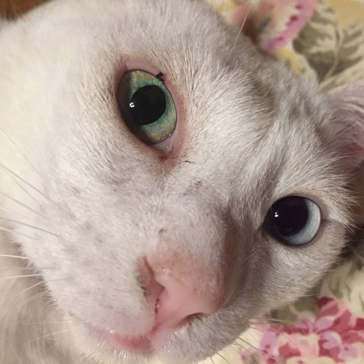 00447361 2217 4d8d ad62 36a2d679c02d 1563627767365