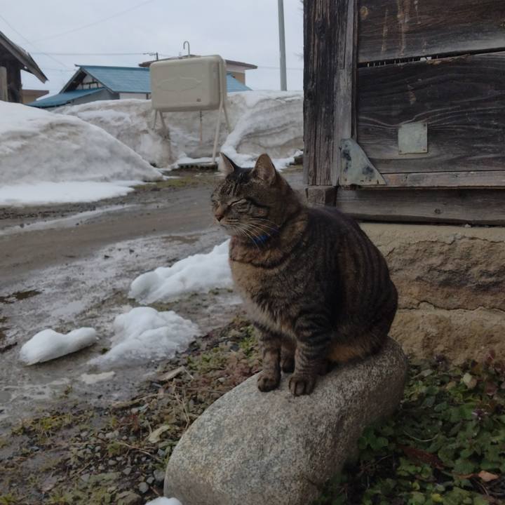 00447487 711d 443c 90bb 9dd91fdd25a0 1677227381906