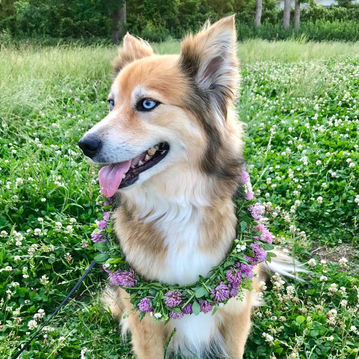 004474be 3c95 4fc2 9b7b ff13e9a59dfc 1527411220436