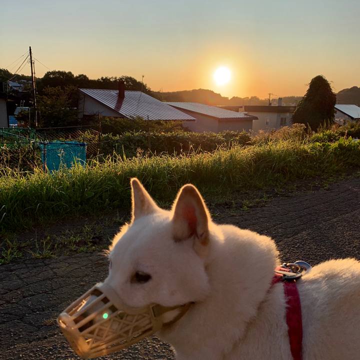 00449a4e e5bf 4c48 9628 898373d19cb6 1567544690449