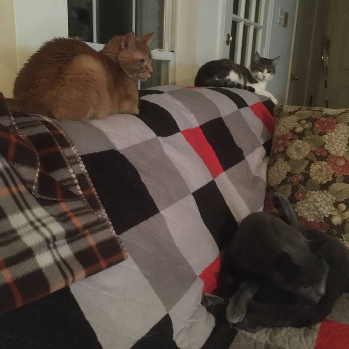 0044a1ee 05fc 426b 8889 2a99027a197f 1647196645267