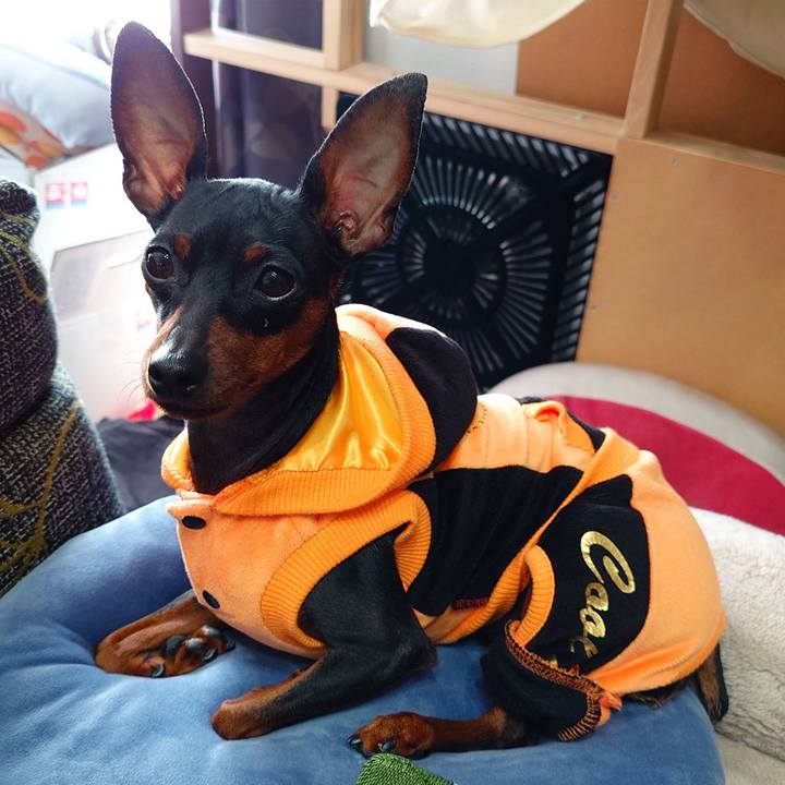 0044dca8 bb1d 4c77 aa07 603c37b51103 1762046119156