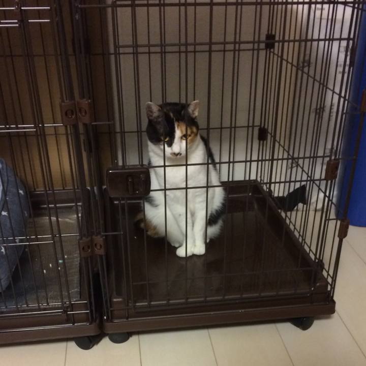 0044eee9 ddc8 4295 882b 6c9aac9c00be 1583831391565