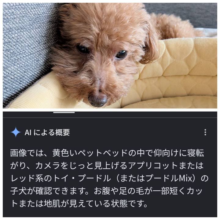 004501af 562c 4916 9a35 9dd2b988dd8a 1786837262399