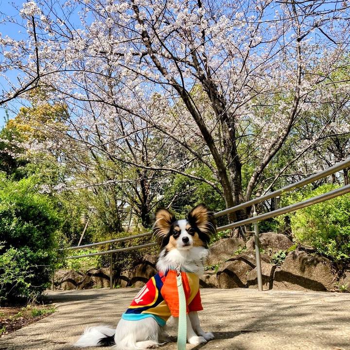 00450de8 7894 49b5 bd66 c5a0314cf6c4 1616925608751