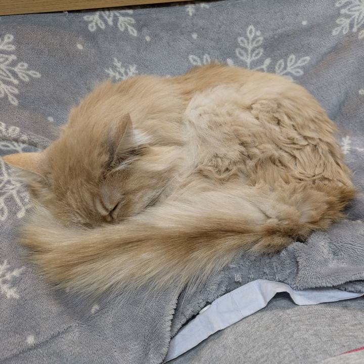 00451b27 a56c 4f92 8430 874c080f1c8f 1773843158477