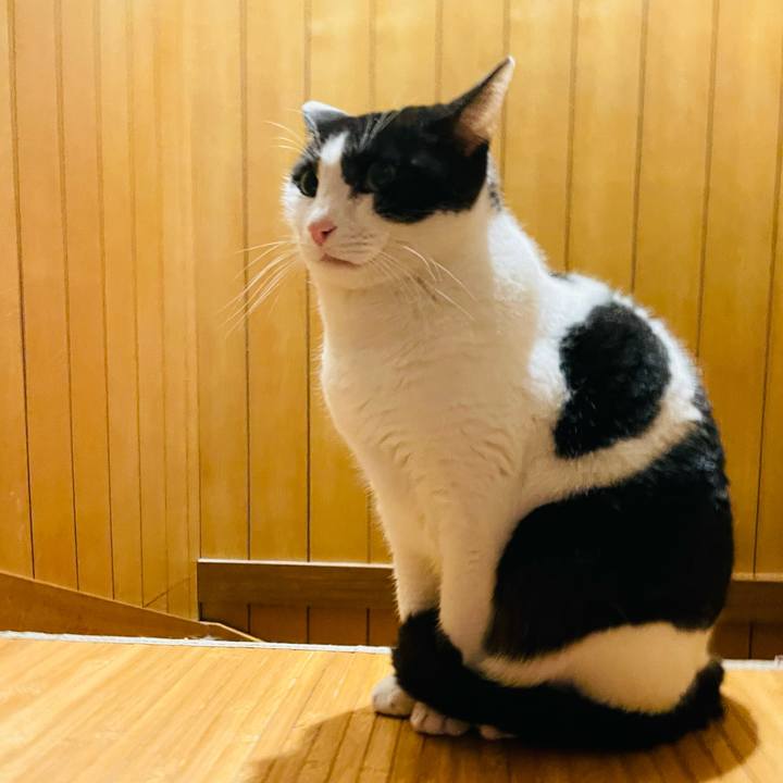 004522e8 a5c2 426d bc36 3fbb3ac8a940 1643335950353