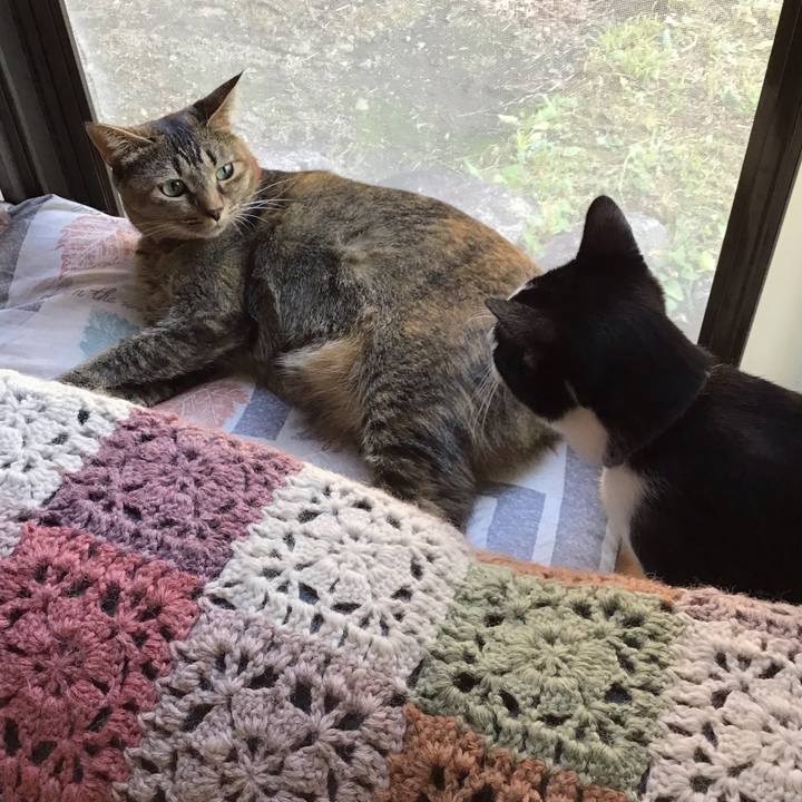 0045277e 57fe 42f0 a87c 8a31a100e23a 1633671112433