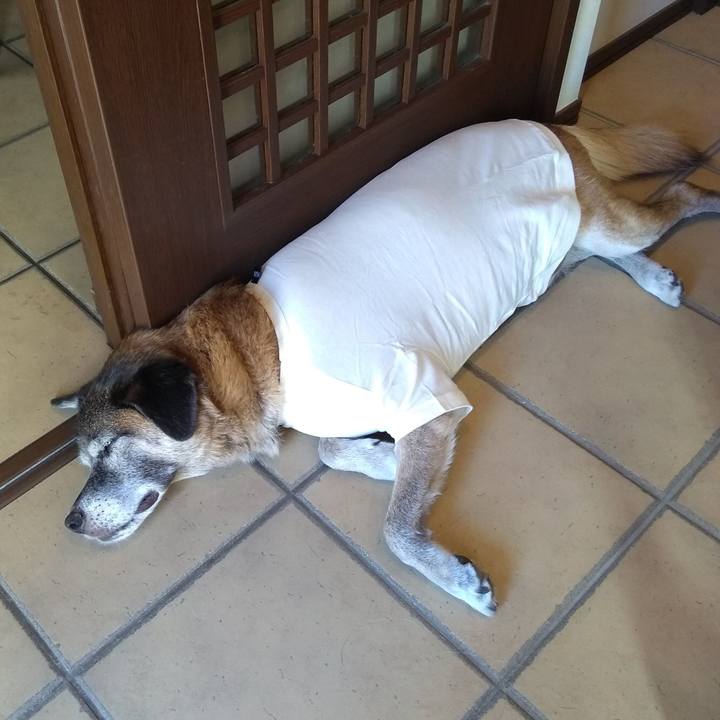 00454a66 44b6 413d 8119 95b3ad1ccbbc 1570597241404