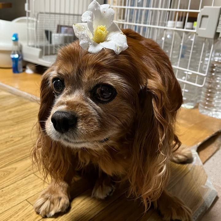 00455b42 a512 41c1 b4d9 2c676eb59c25 1766532728503