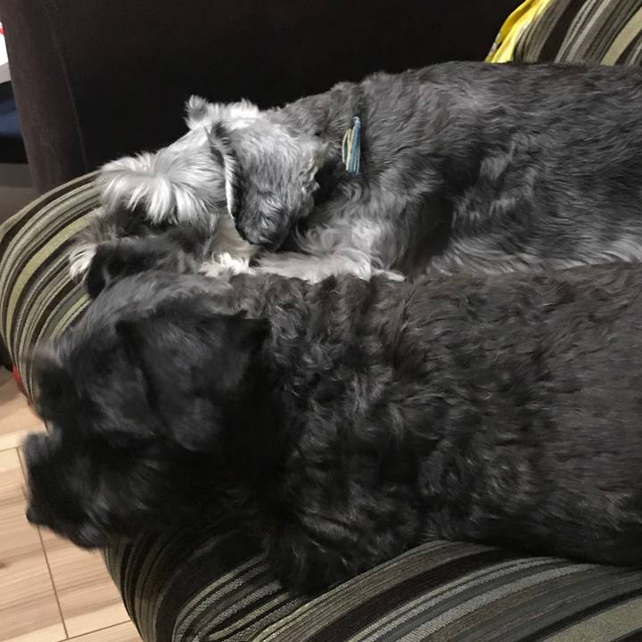 00458d0a 56ab 4375 8618 b068a845fe62 1572243116321