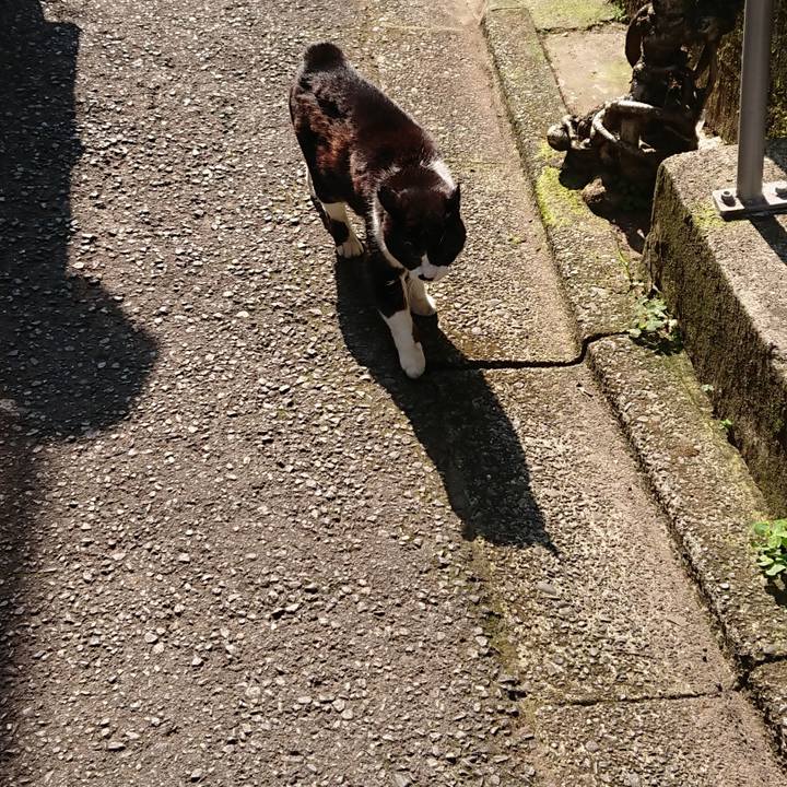 00459370 af85 4423 aa7f 0da4b4c83010 1683761981163