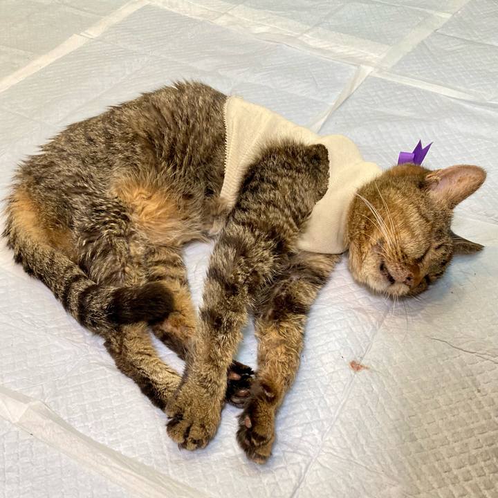 00459bea 6fc2 49f9 8f53 a7d7e3f98250 1688819956443