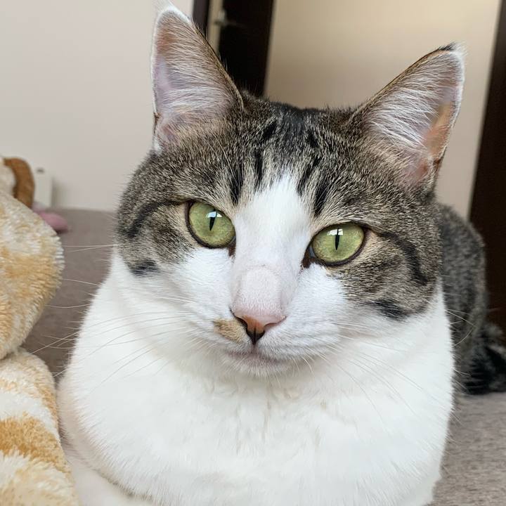 00459c6a 2ddc 4d48 8ef3 cccbd3e0402e 1739574438279