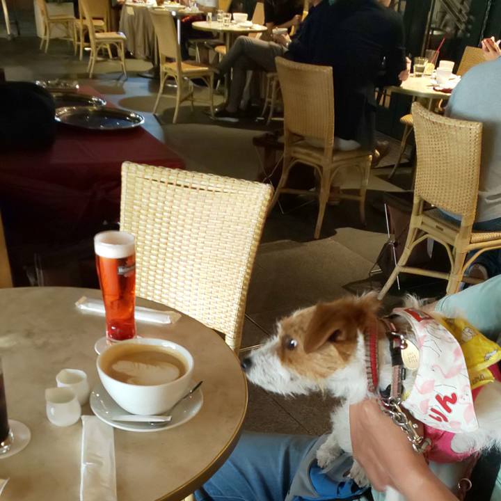 0045b72a 4d75 4b56 96da 6d07afb84944 1558264501846