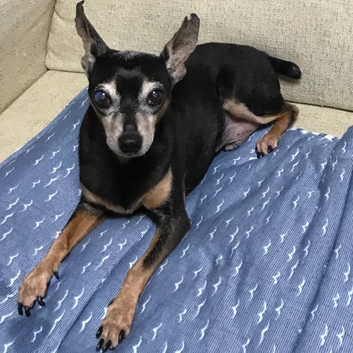 00463388 8018 44de a28e 93fd4ae561de 1535795596988