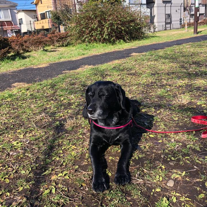 0046511c b90f 45f9 89b7 9c6021c16a18 1580262742483