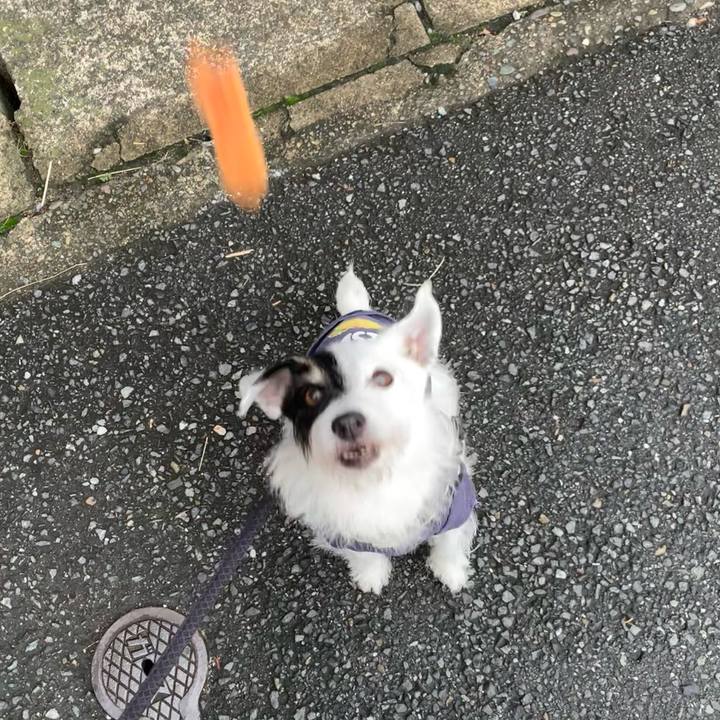 00467527 1eba 4eb2 9fd0 018e05014720 1729813931055