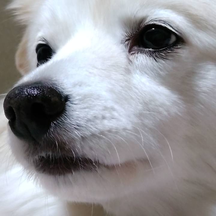 00468ea4 66ad 4316 bab9 138bfe617613 1642044842898