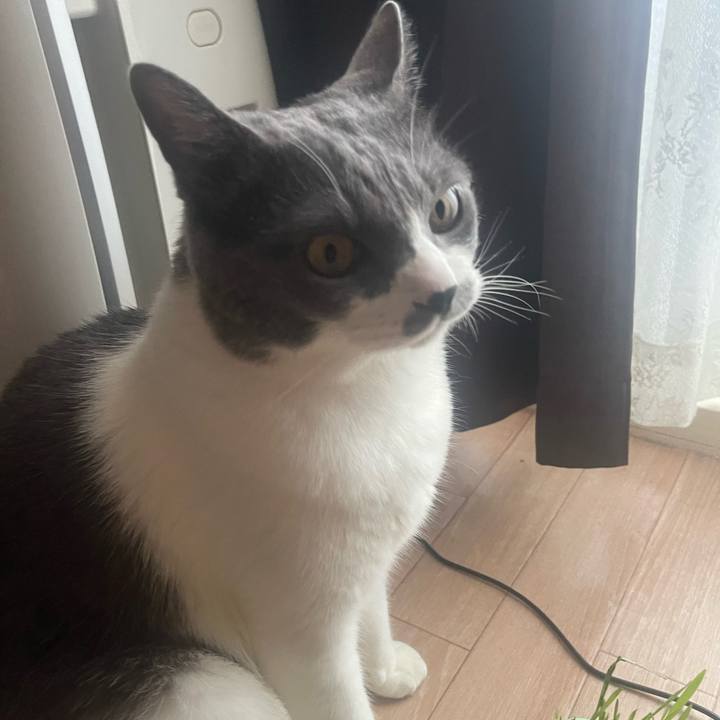 00469c3e ff30 4ea9 8923 cb7e1d60586b 1687900023095