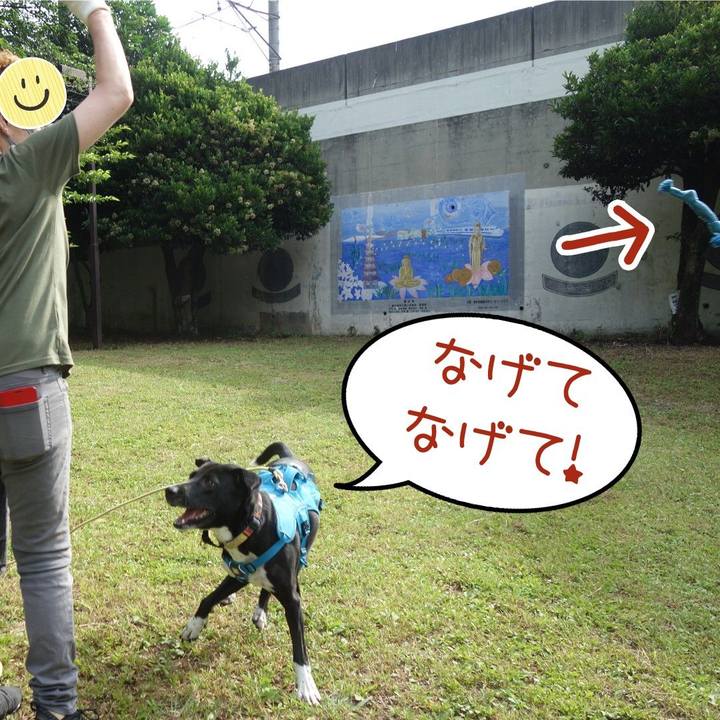 0046ad83 4135 4137 8e44 0c651cc6f8e5 1623457840482