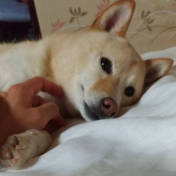 0046da2e 522e 4896 8dfc b444daacf298 1563363808624