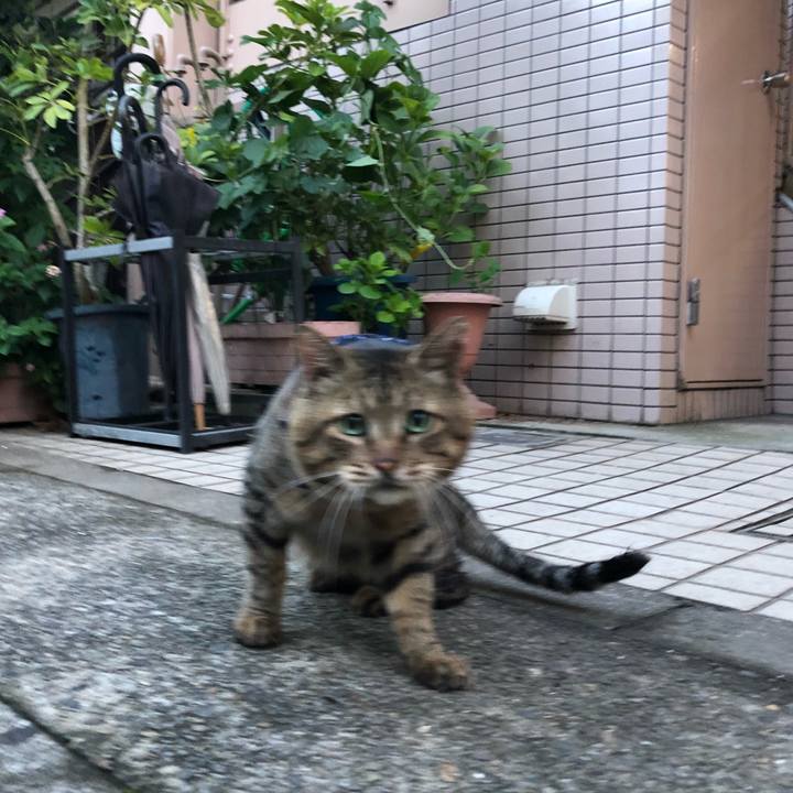 004705e3 f1de 44a3 8306 d9e2992f840c 1533243245309