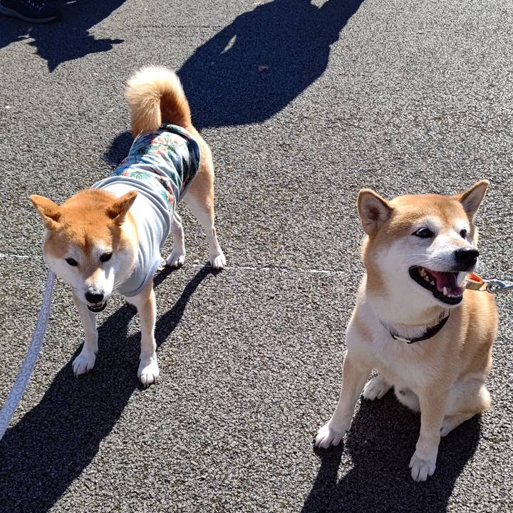 00473480 9bc8 4e69 8280 a9796f775fba 1603600656791