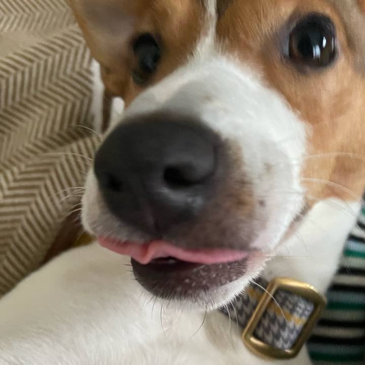 004742c0 0c76 4444 92c8 422e0509c8ba 1680863332902