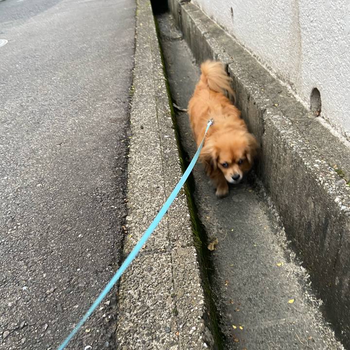 00475d5c 3237 4869 aba7 9e30b6990215 1604613799334