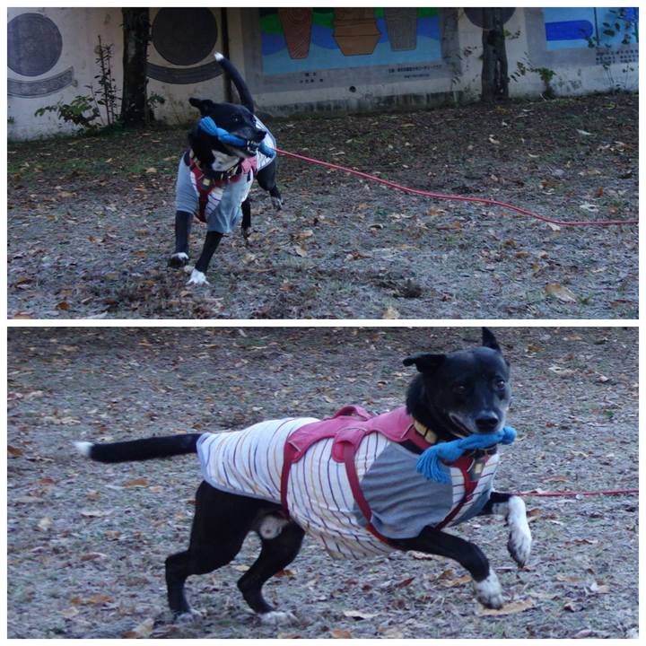 00478d65 7e1f 4bbf 9f59 9481d9ce7163 1701564072626