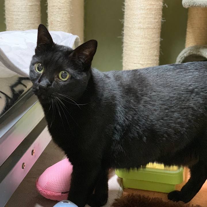 004798b8 a515 4432 bf89 cf1cfae97644 1549502616001