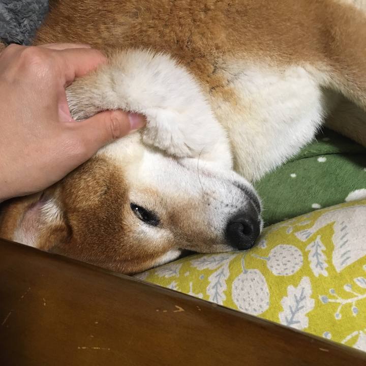 0047ded5 379d 43c3 9553 7d058bd04566 1627221493943