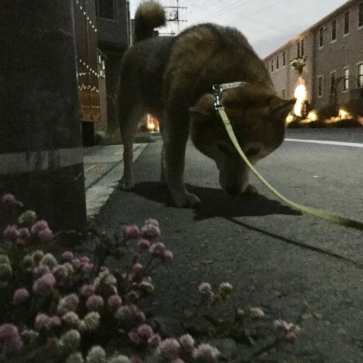 0047f603 198a 4453 a5b1 5c41515fb4cd 1607857345606