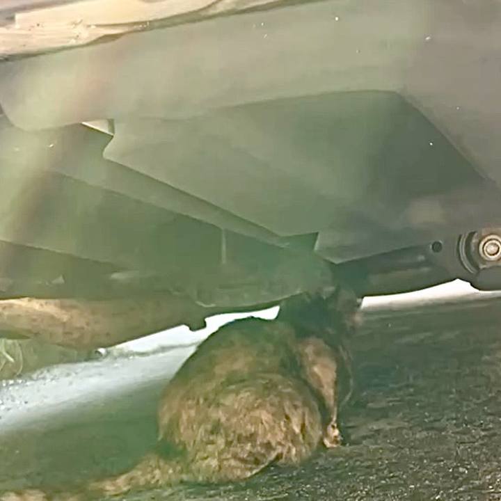 004849cf 15c1 4499 bf76 07e768645918 1730950743547