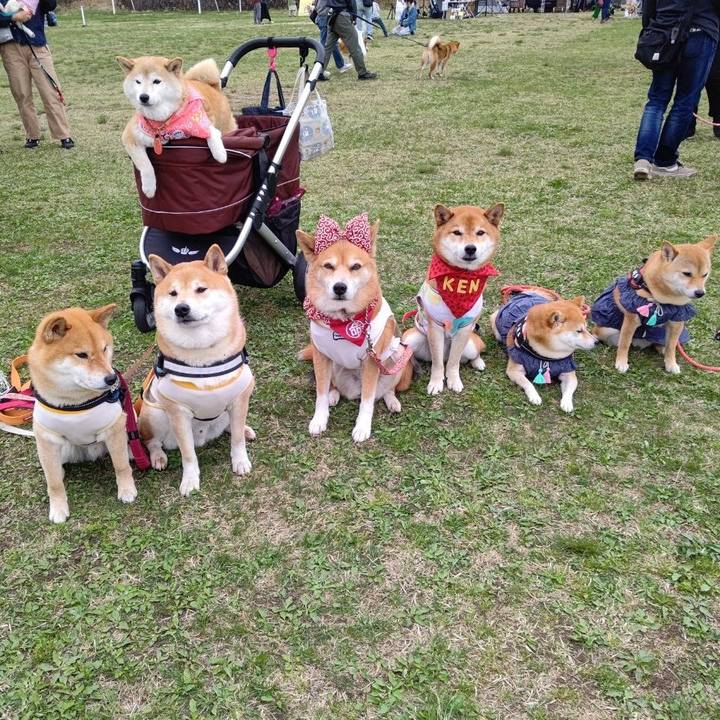 00487f78 3924 4631 9470 ae847b24e7b4 1650904342938